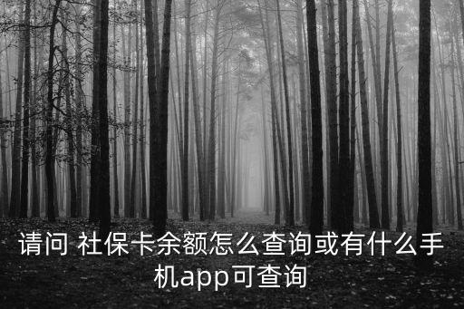 個人社保APP,2023社保繳費(fèi)價格表