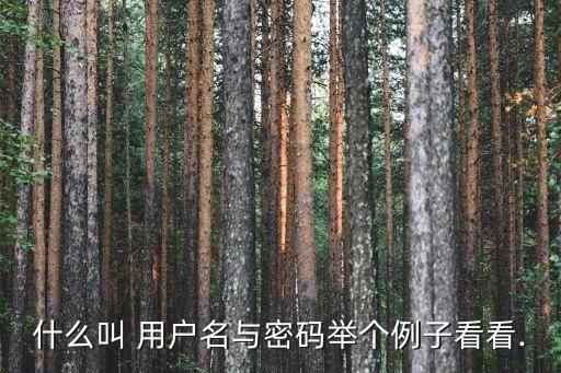 用戶名什么意思,百度網(wǎng)盤補(bǔ)全完整用戶名什么意思