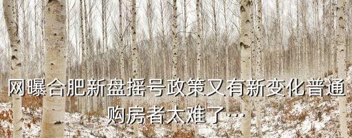 網(wǎng)曝合肥新盤搖號(hào)政策又有新變化普通購房者太難了···