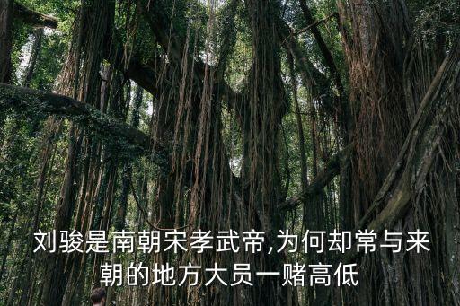 劉駿,牛駿峰演員