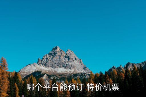 哪個平臺能預(yù)訂 特價機票
