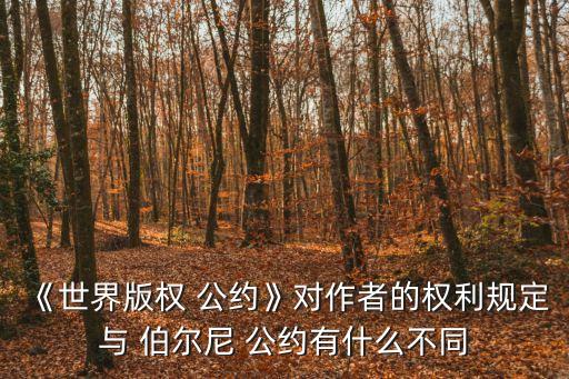 伯爾尼公約
