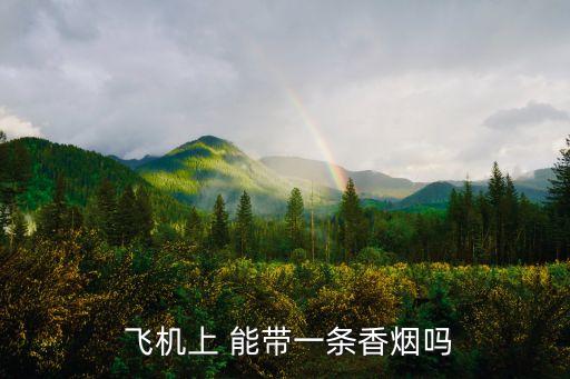 飛機(jī)能帶煙嗎,國內(nèi)坐飛機(jī)能帶煙嗎