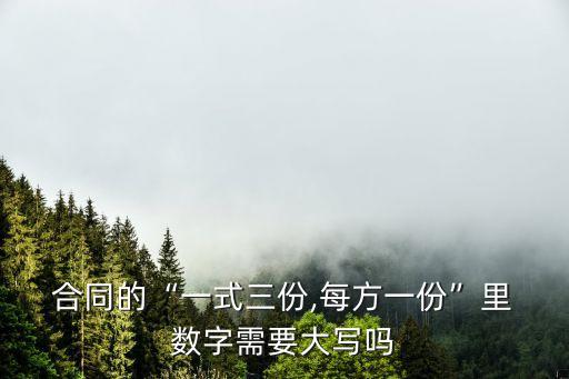  合同的“一式三份,每方一份”里 數字需要大寫嗎