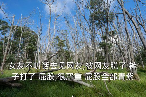 女友不聽話去見網(wǎng)友,被網(wǎng)友脫了 褲子打了 屁股,很嚴(yán)重 屁股全部青紫,
