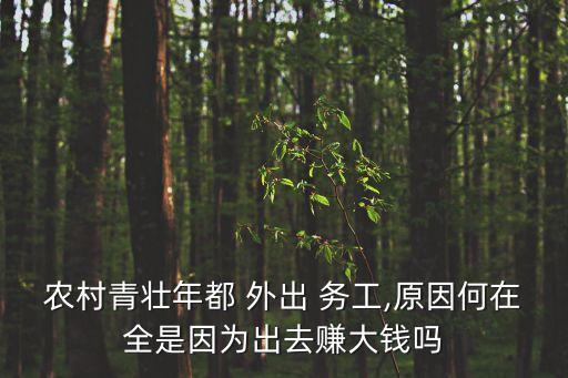 農(nóng)村青壯年都 外出 務工,原因何在全是因為出去賺大錢嗎