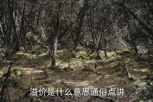 什么是溢價(jià)