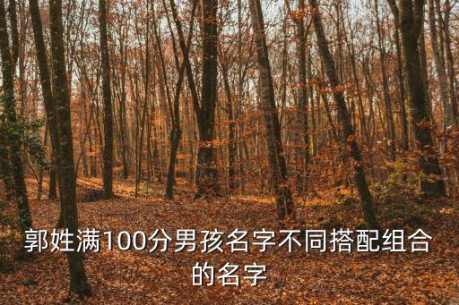 郭姓滿100分男孩名字不同搭配組合的名字