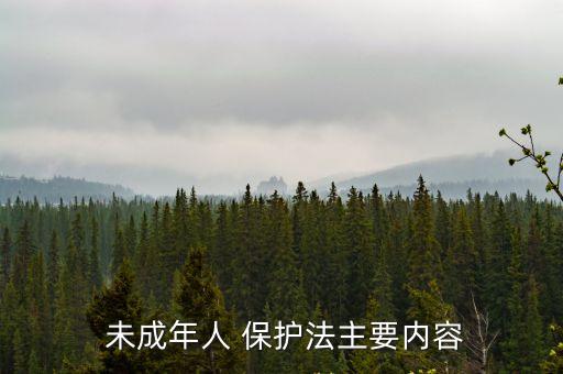  未成年人 保護法主要內容