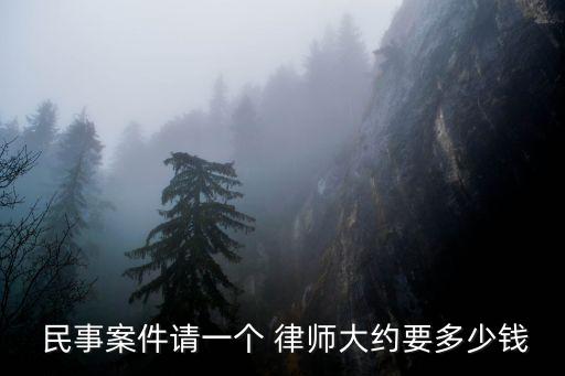 小民事糾紛律師費(fèi)貴嗎,被起訴了但是實(shí)在沒(méi)有錢還怎么辦