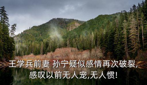 孫寧