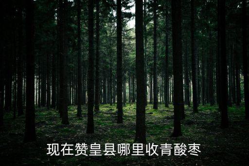 李彥龍