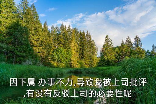 因下屬 辦事不力,導(dǎo)致我被上司批評(píng),有沒(méi)有反駁上司的必要性呢