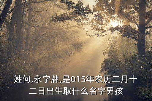 何永林
