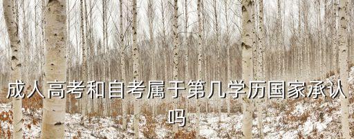 成人高考和自考屬于第幾學(xué)歷國(guó)家承認(rèn)嗎