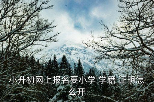 小升初網(wǎng)上報(bào)名要小學(xué) 學(xué)籍 證明怎么開