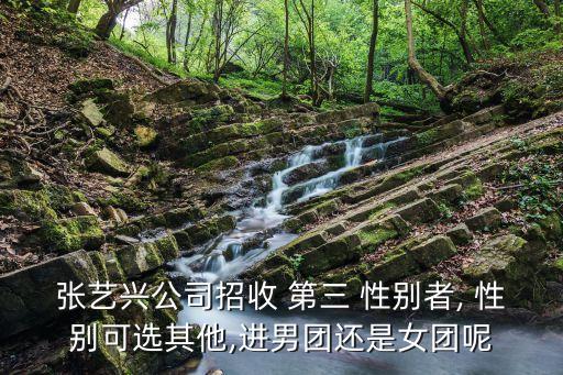 第三性別身份證,尼泊爾第三性別
