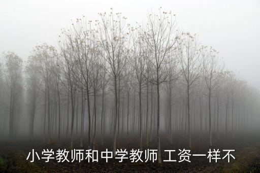  小學(xué)教師和中學(xué)教師 工資一樣不