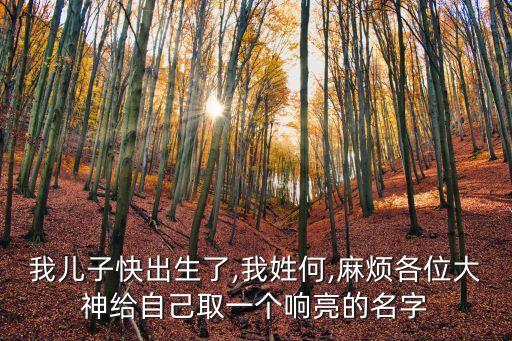 何友成