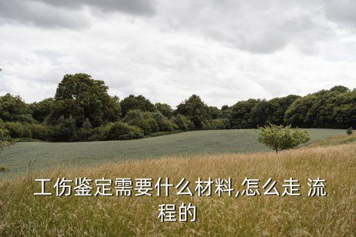 工傷認(rèn)定流程及資料,個(gè)人申請(qǐng)工傷認(rèn)定流程及資料