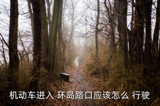 環(huán)島行駛規(guī)則,車輛在環(huán)島行駛規(guī)則