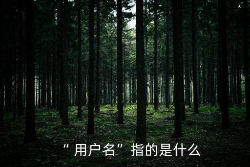 “ 用戶名”指的是什么