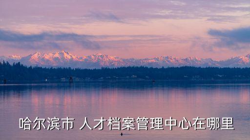  哈爾濱市 人才檔案管理中心在哪里