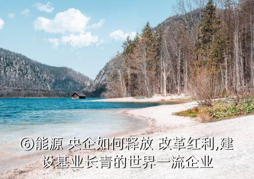 央企改革