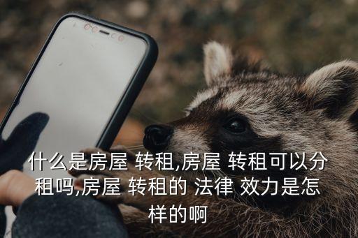什么是房屋 轉(zhuǎn)租,房屋 轉(zhuǎn)租可以分租嗎,房屋 轉(zhuǎn)租的 法律 效力是怎樣的啊