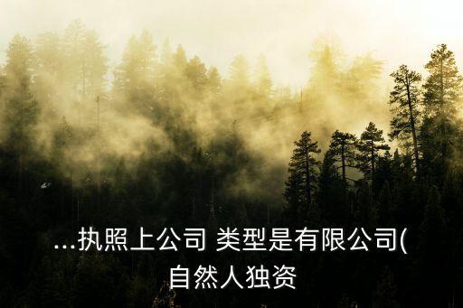 ...執(zhí)照上公司 類型是有限公司(自然人獨資