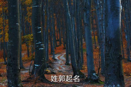 姓郭起名
