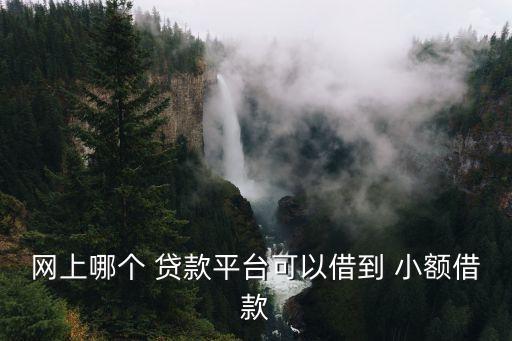 網(wǎng)上哪個 貸款平臺可以借到 小額借款