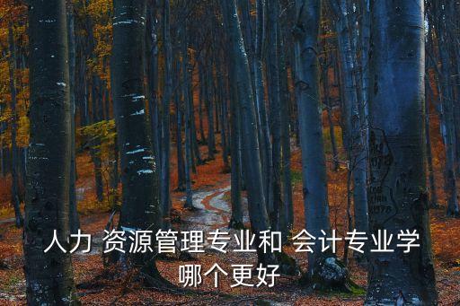 人力資源會計(jì)