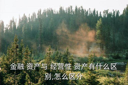 金融 資產(chǎn)與 經(jīng)營性 資產(chǎn)有什么區(qū)別,怎么區(qū)分