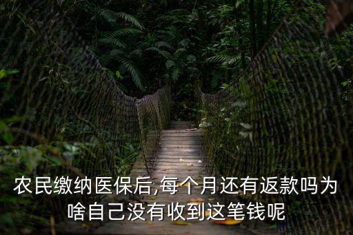 農(nóng)民繳納醫(yī)保后,每個(gè)月還有返款嗎為啥自己沒有收到這筆錢呢