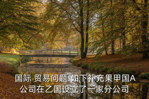 國際貿(mào)易問題,燦雷 姜麗 國際貿(mào)易問題
