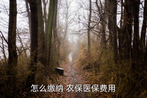 怎么繳納 農(nóng)保醫(yī)保費(fèi)用