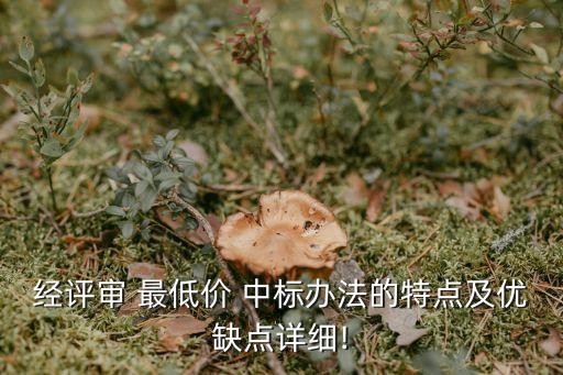最低價(jià)中標(biāo),招標(biāo)法不允許最低價(jià)中標(biāo)