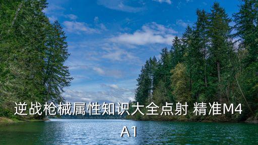 精準(zhǔn)一頭,精準(zhǔn)CT一次多少錢