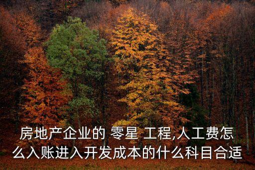零星工程