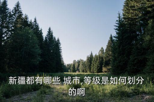 新疆都有哪些 城市,等級(jí)是如何劃分的啊