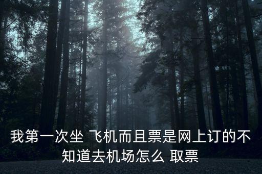 我第一次坐 飛機(jī)而且票是網(wǎng)上訂的不知道去機(jī)場怎么 取票