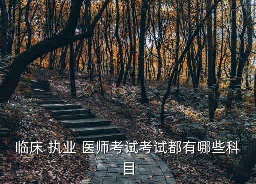臨床 執(zhí)業(yè) 醫(yī)師考試考試都有哪些科目