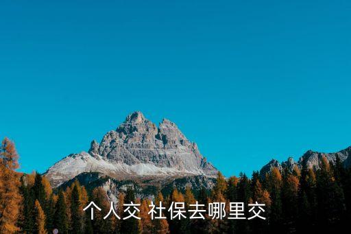 交社保在哪里交,長沙自己交社保在哪里交