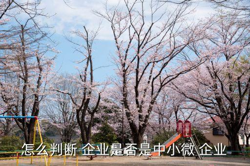 中小微企業(yè)劃分,2017大中小微企業(yè)劃分