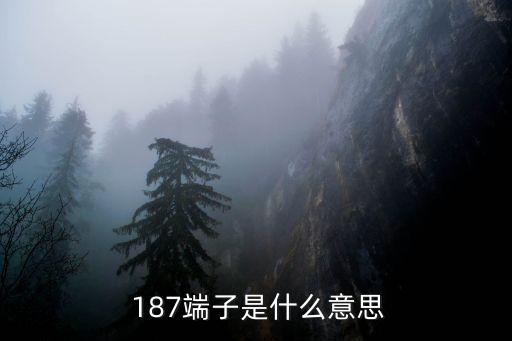 187是什么意思,產(chǎn)品標(biāo)準(zhǔn)號(hào)GB\/T18187是什么意思