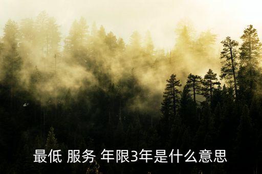 服務(wù)類招標(biāo)年限3年