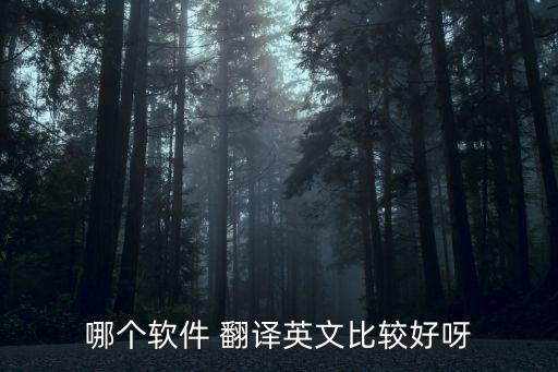 中翻英翻譯器,英文轉(zhuǎn)中文翻譯器