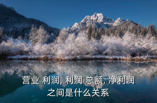 營業(yè) 利潤, 利潤 總額, 凈利潤之間是什么關(guān)系