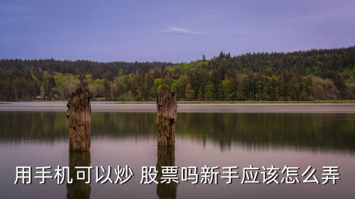 用手機可以炒 股票嗎新手應(yīng)該怎么弄